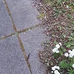 Haus Am Teich Oetjens Gaudernbach