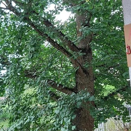 Haus Am Teich Oetjens Gaudernbach